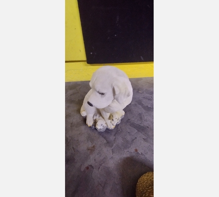 Animaux en résine