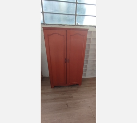 Armoire 2 portes en l'état