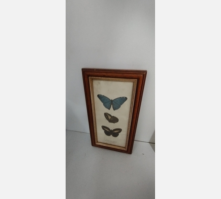 Cadre avec papillons