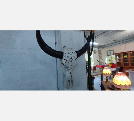 Crâne de buffle sculpté.