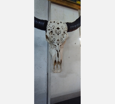 Crâne de buffle sculpté.