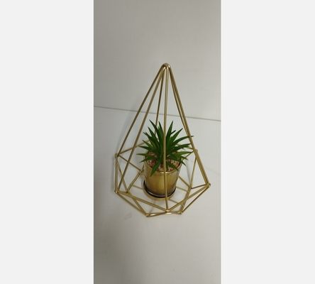 Décoration plante