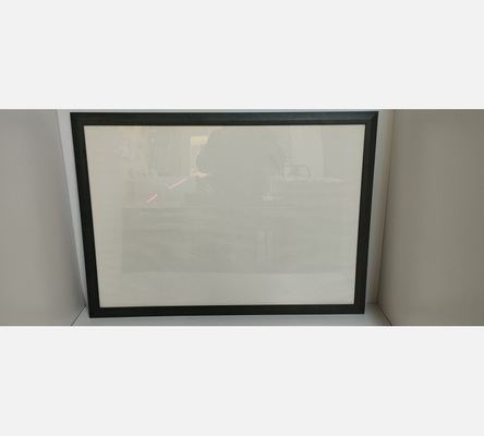 Grand cadre sous verre. 100/70