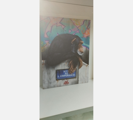 Grande toile singe