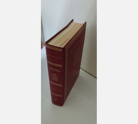 Livre relié les oiseaux se cachent pour mourir