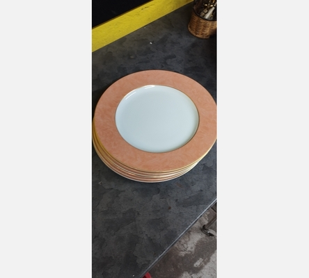 Lot d'assiettes Medart de noblat