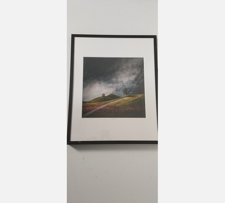 Photo encadrée et numérotée de CHRISTINE ELLGER. 'Traumlelt'