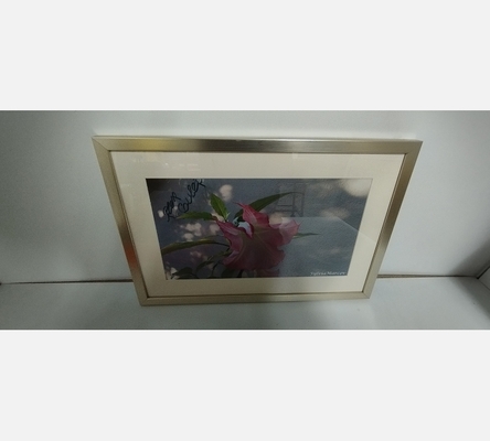 Photo floral Sylvia Marcov