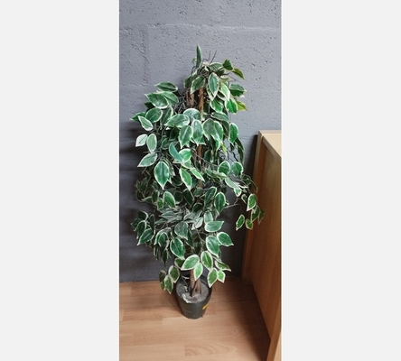 Plante artificielle.