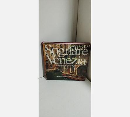 Sognare venezia