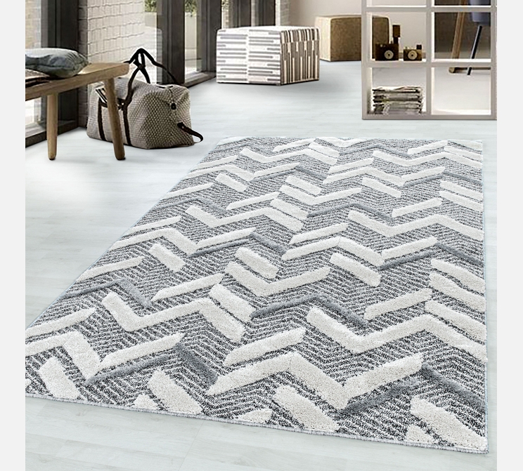 Tapis Pisa gris 120/170 cm. (4705)