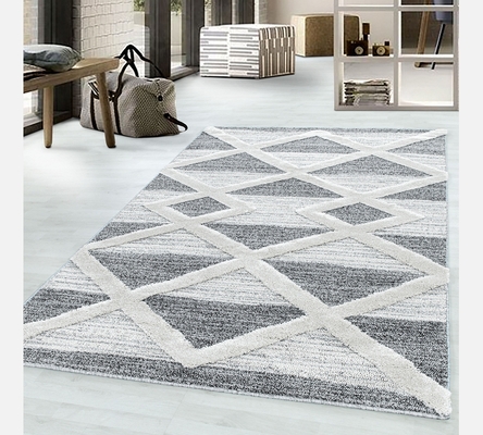 Tapis Pisa gris 120/170 cm. (4709)