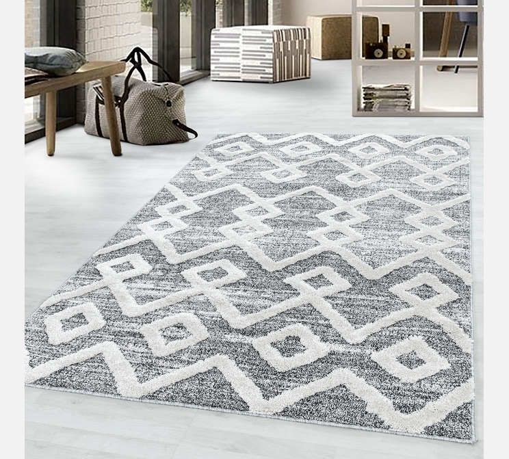 Tapis Pisa gris 140/200 cm. (4704)